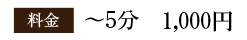 料金：～5分　1,000円