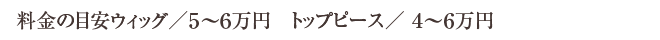 料金の目安ウィッグ／５～６万円　トップピース／ ４～６万円
